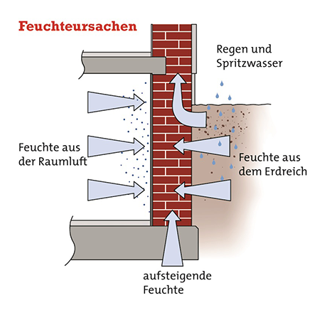 Schimmel Schimmelschaden Schimmelgutachten